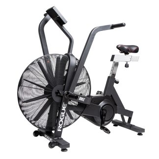 Rogue Echo Bike V3