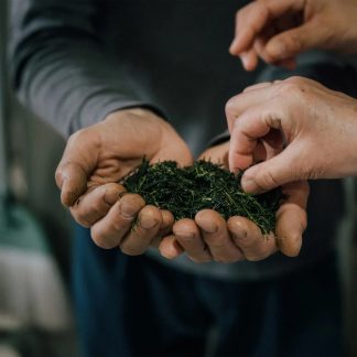 Matcha 3.jpg