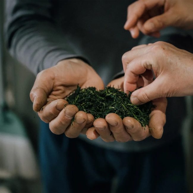 Matcha 3.jpg
