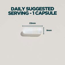 Zinc and mag 4.jpg