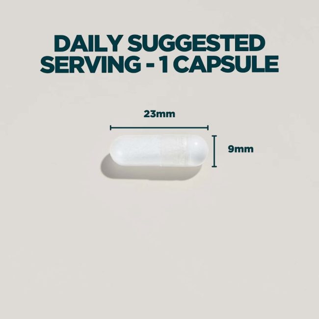 Zinc and mag 4.jpg